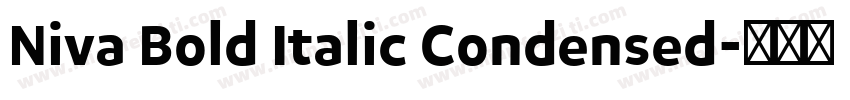 Niva Bold Italic Condensed字体转换